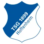 TSG 1899 Hoffenheim-logo