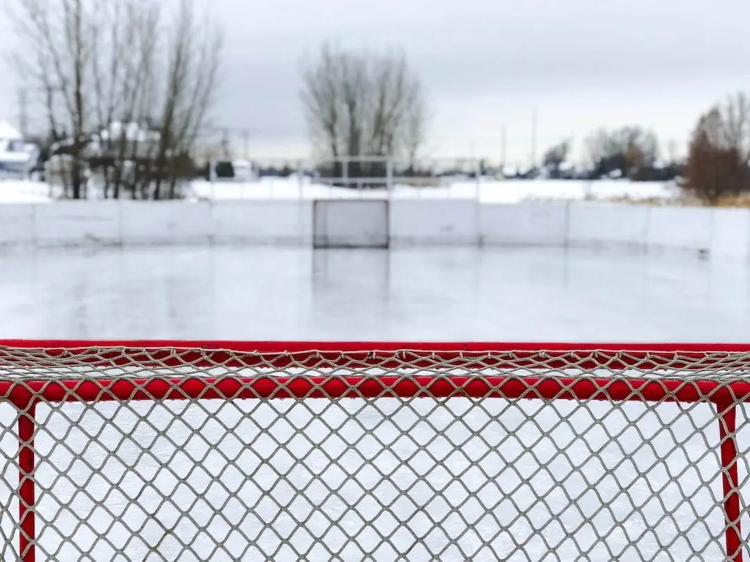 Historien bakom Sveriges landslag i hockey illustration