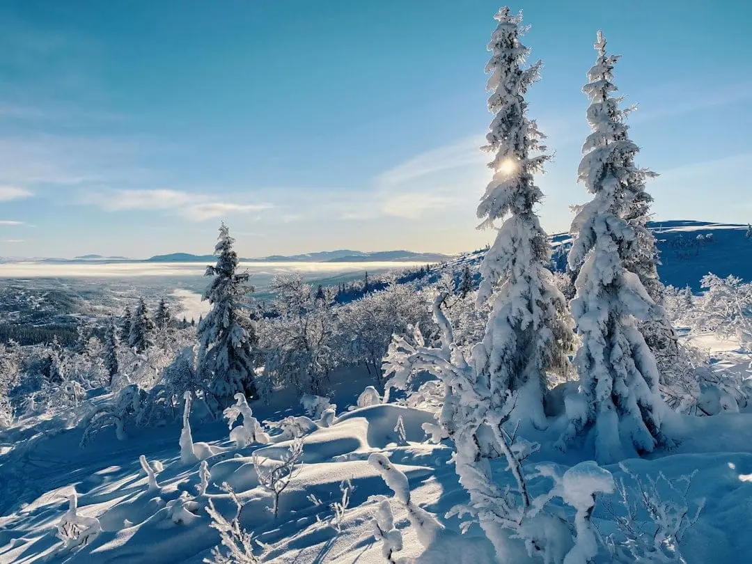 Topptips för skidåkning i svenska fjällen illustration