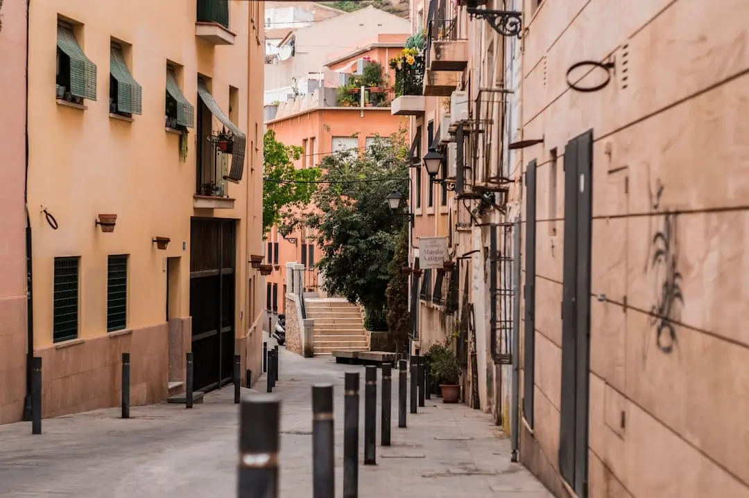 Vilken sport bör du uppleva på plats i Alicante? illustration